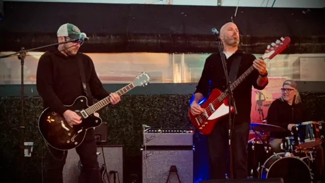 the 501 guitar and bass live